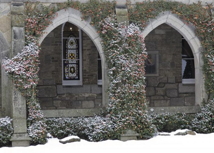 christmascardcloistersimage_1477478013