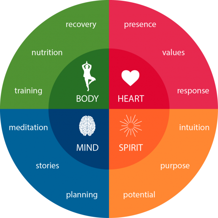 NEWRESILIENCEMODEL-1024×1024