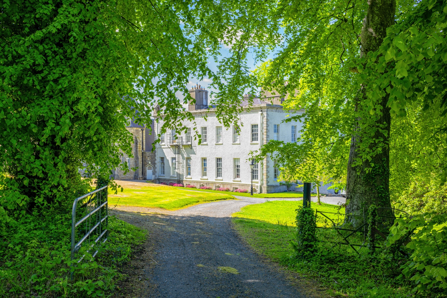 St. Columba's College Boarding & Day School, Dublin, Ireland